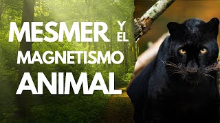 Mesmer y el Magnetismo Animal Ft Dr Mauricio Romero [upl. by Haland226]