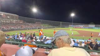 Sherman from Delmarva shorebirds doing the chicken dance [upl. by Coates]