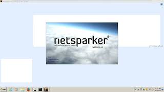 how to Scan a website with netsparker tool [upl. by Enamart661]