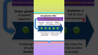 Eutrophication Effect and Its Causes  Environmental Issues Class 12 shorts neet [upl. by Oatis]