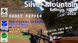 Top to Bottom at Silver Mountain  Fast Freeride Trails  Summer 2023 [upl. by Ener823]