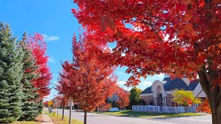 Autumn Season in Toronto Canada 2023 [upl. by Hanson]