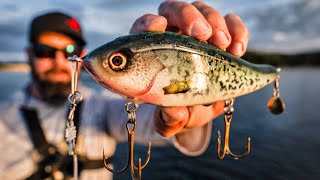 THE BEST MUSKY FISHING IVE EVER EXPERIENCED  Iowa Muskies on a Feeding Frenzy [upl. by Enasus]