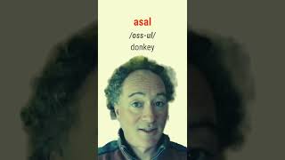 How to say Donkey in Irish bitesizeirish [upl. by Asiul]