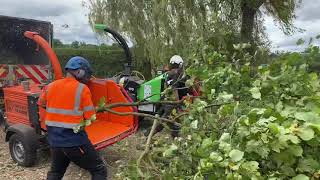 Greenmech Evo 165 vs Timberwolf 230 woodchipper [upl. by Jamaal]