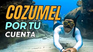 Un dia de Snorkel en Cozumel  Explorando Cozumel por tu cuenta Hotel Ventanas al mar [upl. by Anirtruc601]