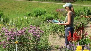 EcoBeneficial Interview Annie White on Native Plant Cultivars Native Plants amp Pollinators [upl. by Giffer311]