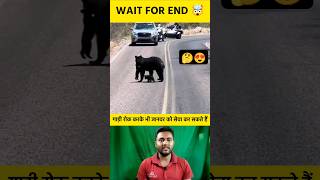 गाड़ी रोक करके भी जानवर को सेवा कर सकते हैं 🤔😍 shorts animal animalshorts help respectshorts [upl. by Rema]