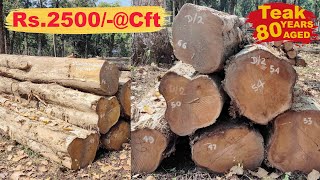 Teak Wood Price II Teak Wood Wholesale Market II Tectona Grandis [upl. by Mil]