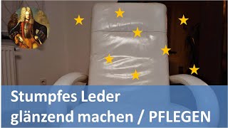 Stumpfes Leder glÃ¤nzend machen  PFLEGEN [upl. by Andres]