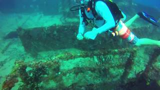 Scuba Diving  Key Largo  Spiegel Grove [upl. by Anawait]