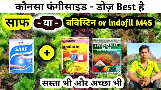 saff fungicides vs indofil m45  कौनसा फूँगीसाइड कॉम्बिनेशन सबसे अच्छा [upl. by Agathy672]