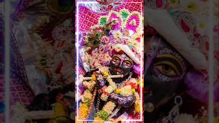 RADHE RADHE JAPA KARO krishna radhakrishna radheradhe radha shorts trendingshorts ytshorts [upl. by Aicnelav]