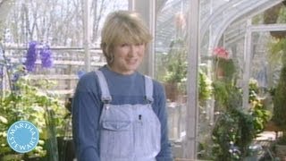 How To Organize And Store Seeds  Throwback Thursday  Martha Stewart [upl. by Cindy]