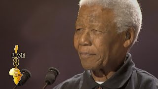 Nelson Mandela  Speech Live 8 2005 [upl. by Burne]