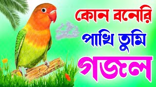 কোন বনেরি পাখি তুমি  kon boneri pakhi tumi  islamic song [upl. by Bruno859]