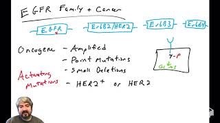 EGFR family and cancer [upl. by Steffane]