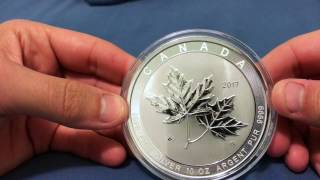 2017 10 oz Canadian Silver Magnificent Maple Leaf Coin [upl. by Dobbins972]