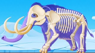 Dinosaur Park 2  Fossil Dig amp Discovery Dinosaur Games  Kids Fun Educational Games [upl. by Waters]