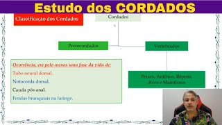 Introdução ao Estudo dos Cordados FILO CHORDATA Características dos cordados [upl. by Romo]