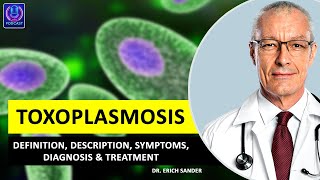 TOXOPLASMOSIS Definition Description Causes and symptoms Diagnosis amp Treatment of Toxoplasmosis [upl. by Sclar518]