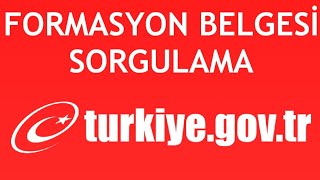 EDevlet Formasyon Belgesi Sorgulama Nasıl Yapılır [upl. by Berns26]