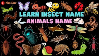 BELAJAR NAMA SERANGGA DALAM BAHASA INGGRIS  NAMES OF INSECT LEARN ANIMALS NAMA BINATANG NAMA HEWAN [upl. by Nitnelav]