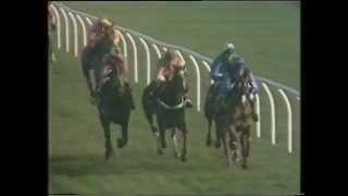 1989 Charles Heidsieck Champagne Bula Hurdle [upl. by Nnalyrehs]