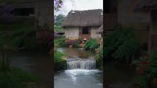 a traditional thatched roof house near a small waterfall [upl. by Otsuaf]