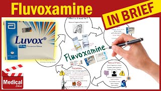 Fluvoxamine Luvox What Is Fluvoxamine Used For Uses Dosage and Side Effects of Fluvoxamine [upl. by Alenas]