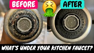 How To Clean Faucet Head Fast Remove Hard Water DepositsStainsLime Build Up Natural Method [upl. by Jacoby]