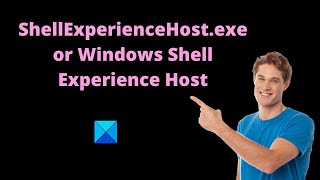 ShellExperienceHostexe or Windows Shell Experience Host in Windows [upl. by Elleinwad842]