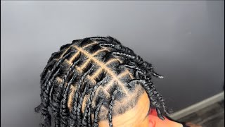 Two strand twist starter locs tutorial super easy amp beginner friendly tutorial [upl. by Lorilyn811]