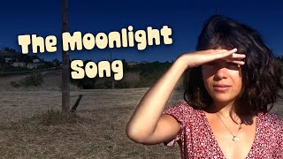 Sky Oddity  The Moonlight Song Official Music Video [upl. by Emarej588]