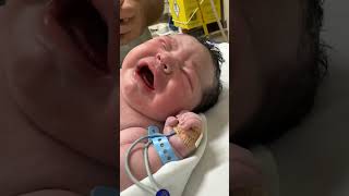 Newborn baby group Newbirths babyfever Newborns usatiktok usa🇺🇸 babycare newbornbaby baby [upl. by Winthrop]