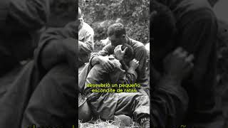 Stalingrado  Metodos extremos historia historiamilitar ww2 shorts shortvideo stalingrad [upl. by Gnuh]