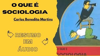 😀O QUE É SOCIOLOGIA POR CARLOS BENEDITO MARTINS  RESUMO DE LIVROS DE SUCESSO EM ÁUDIO [upl. by Ettevahs]