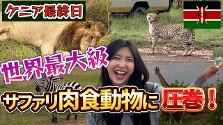 ケニア3 世界最大級のサファリでみたド迫力映像【マサイマーラ国立保護区】 [upl. by Jaime]