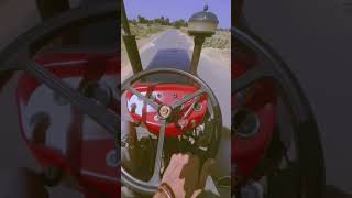 1035 Di Massey shortvideo trendingvideo likeme  Massey lovers [upl. by Ailhad]