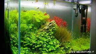 Aqua Tutorial  Come allestire un acquario ELOS parte 2 [upl. by Mariken]