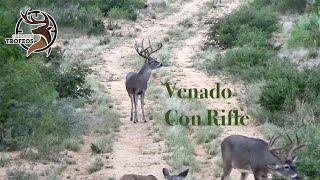 Cacería de Venado Grande con Rifle en Anahuac Nuevo León [upl. by Eiramyma]