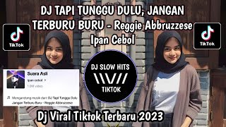 DJ TAPI TUNGGU DULU JANGAN TERBURU BURU IPAN CEBOL VIRAL TIKTOK TERBARU [upl. by Vanhomrigh]