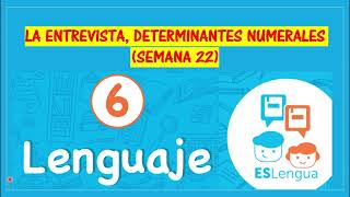 LA ENTREVISTA DETERMINANTES NUMERALES SEMANA 22 ESLEGUA SEXTO GRADO [upl. by Nasus]