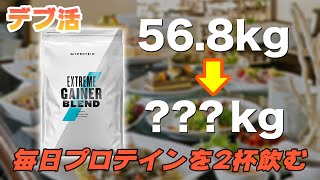 太る用のプロテインを毎日2杯飲んだら体重は何キロ増えるのか【デブ活】 [upl. by Nylesor]