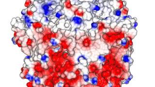 Pentameric Channel Nicotinic Acetylcholine Receptor Homolog with sound [upl. by Llednil]