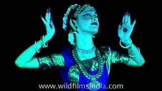 Bharatnatyam to a Hollywood beat [upl. by Renate994]