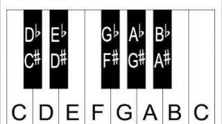 Learn Piano Keys And Notes  Piano Keyboard Diagrams [upl. by Ilrac]