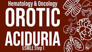 Orotic Aciduria HemeOnc  USMLE Step 1 [upl. by Abott]