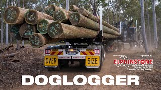 EasySteer DogLogger pole trailer working in Gympie QLD [upl. by Read]