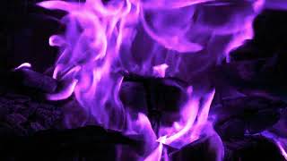 Fuego Morado  4K UHD [upl. by Nairdna]